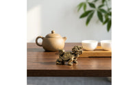 Antique Finish Brass Dragon Turtle Figurine Feng Shui Inspired Dragon Turtle Figurine Wealth and Prosperity Symbol Tea Pet Handmade for Desktop