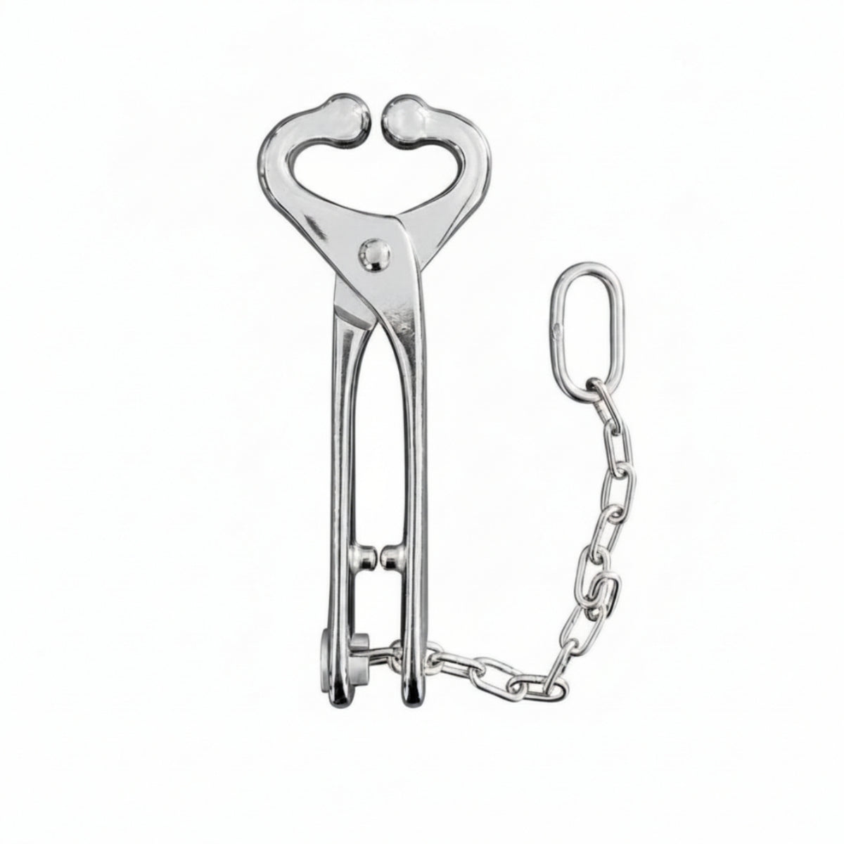 Stainless Steel Cattle Nose Clamp with Chain Heavy Duty Bull Holder with Chain Long-Lasting Cattle Nose Clamp Safe for Ranchers, Farms
