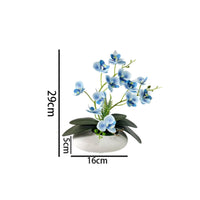 Phalaenopsis Tabletop Flowering Plant Decor 12-Blossom Flowering Plant Bonsai Photography Prop Film Material