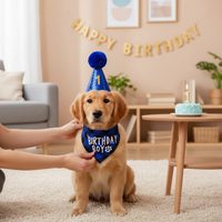 Pet Birthday Party Decoration Set with Hat, Bandana, and Numbers for Cats and Dogs