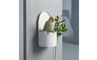 Compact Wall-Mounted Bird Perch Feeder Holder Toilet-Shaped Bird Feeder for Parrots, Small Birds