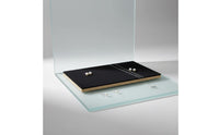 Jewelry Display with Gold Base Practical Velvet Jewelry Stand Luxury for Showcases