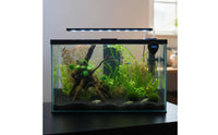 Digital Aquarium Thermometer High Precision USB-Charged Water Temperature Meter Touch to Wake