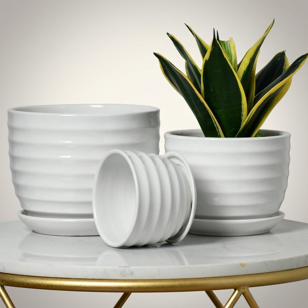 Plant Pots for House Plants and Indoor Plants, Set of 3 Ceramic Pots with Saucers, Decorative Flower Pots for Snake Plant, Great Gifts for Mom