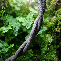 50cm Textured Dark Brown Terrarium Vine, Climbing Animal Habitat Vine for Jungle Enclosures, Modular Wrappable Decor
