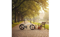 Folding Bike with Disc Brakes Alloy Wheels 20 Inch Folding Two-Wheeler High-Carbon Steel Frame Portable Street Bike for Commuters, Students, Commuting