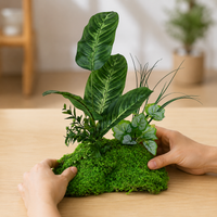 artificial plant arrangement