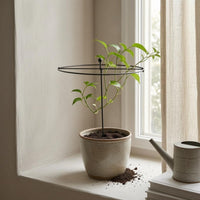 Pointed Spike Circular Hoop Plant Stake Ball Top Round Plant Support Stake Welded Hydrangea Support Hoop Dark Finish