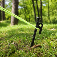 tent stakes and guy lines