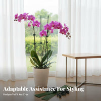Includes Fastening fasteners arcd flowering plant Stake Provides Stability stalk assist Kit Sturdy Plant reachory Reusable for Gardeners, Homeowners, Indoor, Indoors, Potted Plants, Balcony