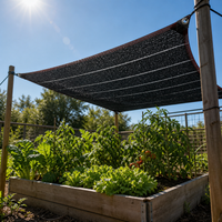 Heavy-Duty Black Sun Shade Net for Outdoor Patios and Gardens, UV Protection Shade Cloth