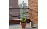 Spiral Plant Trellis Reusable Metal Trellis Easy to Install for Gardeners