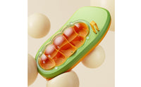 Silkworm Breeding Box Multi-Compartment Observation Box with Dome Lid Breeding Container Slim for Children