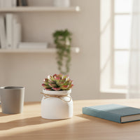 Tabletop Planter Lightweight Small Plant Pot Minimalist Aesthetic for Office