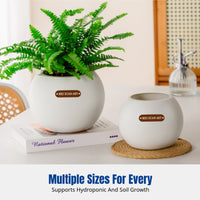 Self-Watering Planter, Thickened Resin, Round Matte Desktop Pot, Hydroponic or Soil, Minimalist Home Garden Design