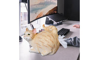 Novelty Gift Cat Tissue Holder Conversation Starter Cat Figurine Tissue Holder Unique Design House Decoration Versatile Use for Desktop, Office