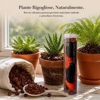 Red Volcanic Rock Granules for Succulents, Gardening, Aquariums, and Landscaping