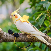 Small Bird Harness with appendages, adjustable Budgerigar Leash for Outdoor Bird Walking, Elastic Cockatiel Harness for Training, Budgie Harness