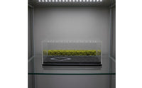1:64 Car Display Box Dustproof Miniature Showcase Collectible Storage for Collectors