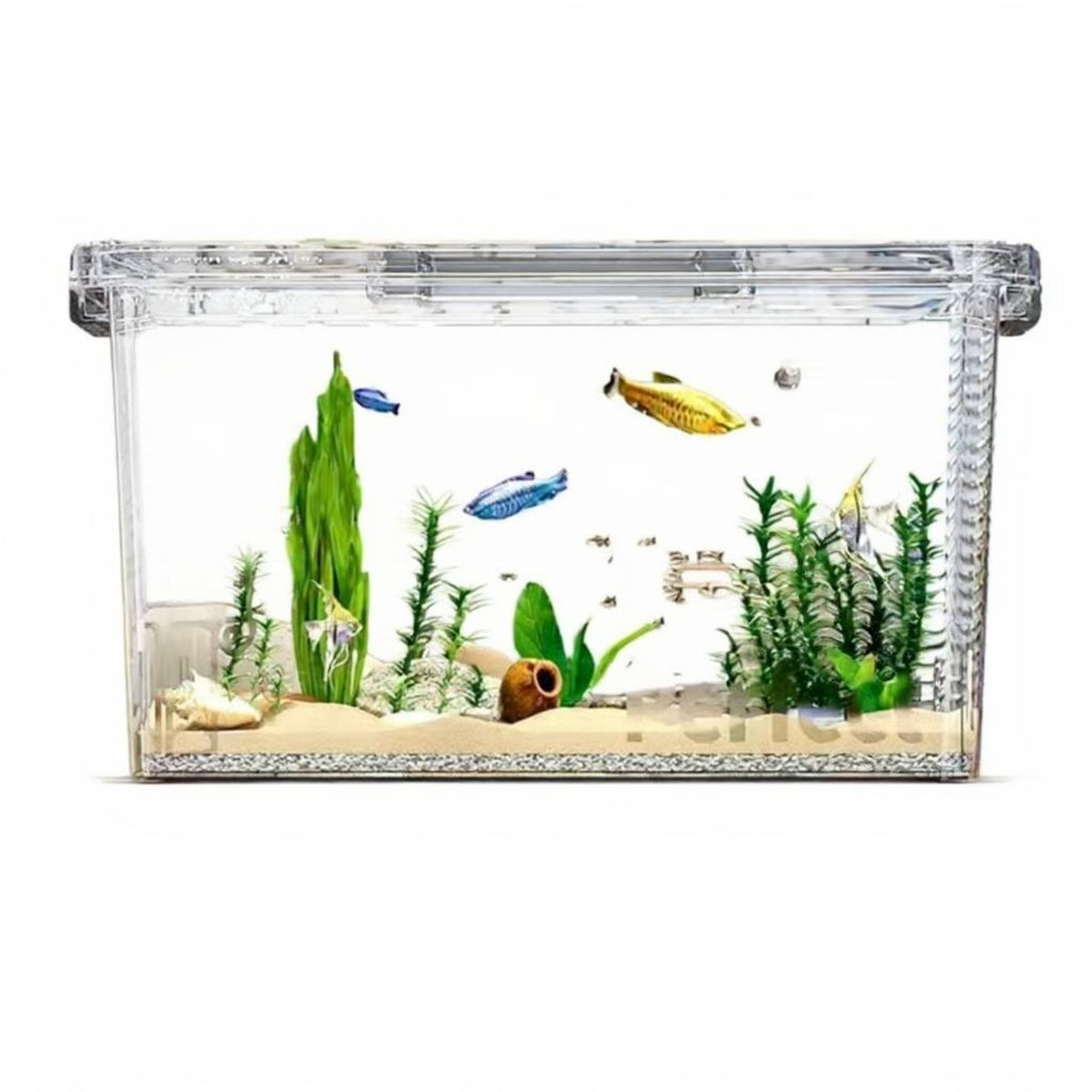 Transparent PET Habitat Enclosure, Stackable Storage Box