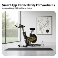 Silent Operation Cycling Bike Seamless Belt Drive Stationary Cycling Bike Sturdy Steel Frame Stationary Exercise Exercise Bike Comfortable Seat for Gym
