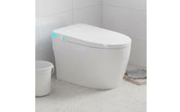 Instant Hot Water Smart Toilet Auto Flushing Automatic All-in-Single Toilet Heated Seat Bathroom Fixture Warm Air Dryer for Elderly, Children
