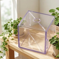 Transparent Fruit Shaping Mold Two-Piece Fruit Growing Mold Clip Fastened