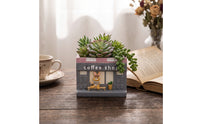 Shopfront Planter Decorative Storefront Flowerpot Small Garden Pot Compact for Succulent Lovers, Desk, Windowsill
