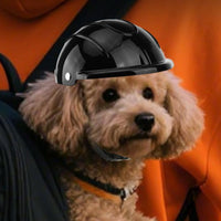 Photo Prop Pet Helmet Lightweight Dog Safety Helmet Adjustable Strap for Cats, Outdoor, Motorcycle Rides, Biking