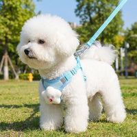 Cat Harness and Dog Harness Set with Small Dog Leash and Cat Leash, Reflective Polyester Flat Rope Outdoor Pet Gear for Small to Medium Dogs