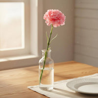 Artificial Carnation Lifelike Appearance Single Stem Artificial Carnation Full Blossom Decor Decoration for Crafters