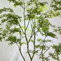 artificial plant