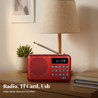 Carrying Strap Portable Radio Speaker Keypad-Style Controls Digital Radio Speaker