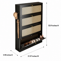 Metal Shoe Storage Cabinet, Narrow Flip-Drawer Shoe Rack for Hallway, Vintage Luxury Black Shoe Storage for Small Spaces, 31cm Deep