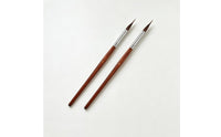 2 Pieces Extra Fine Detail Brush Precision Precision Fine Tip Paint Brush Slender Handle