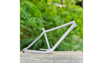 Rim Brake Compatible 26-Inch Mountain Bike Frame Sturdy Mountain Bike Frame with Mounting Points Clean Reinforced for Riders