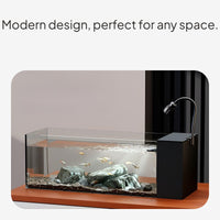 Desktop Clear Glass Aquarium with Automatic Circulation