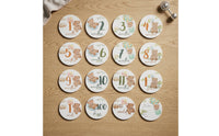 14 Pieces Baby Milestone Cards Pastel Milestone Card Set with Teddy Bear Cute Whimsical for Parents, Nursery Photos, Scrapbook