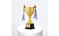 Personalized Gold Cup Trophy Custom Cup Trophy with Base Polished Engraving for Students, Kids, Sports Tournaments, School Competitions
