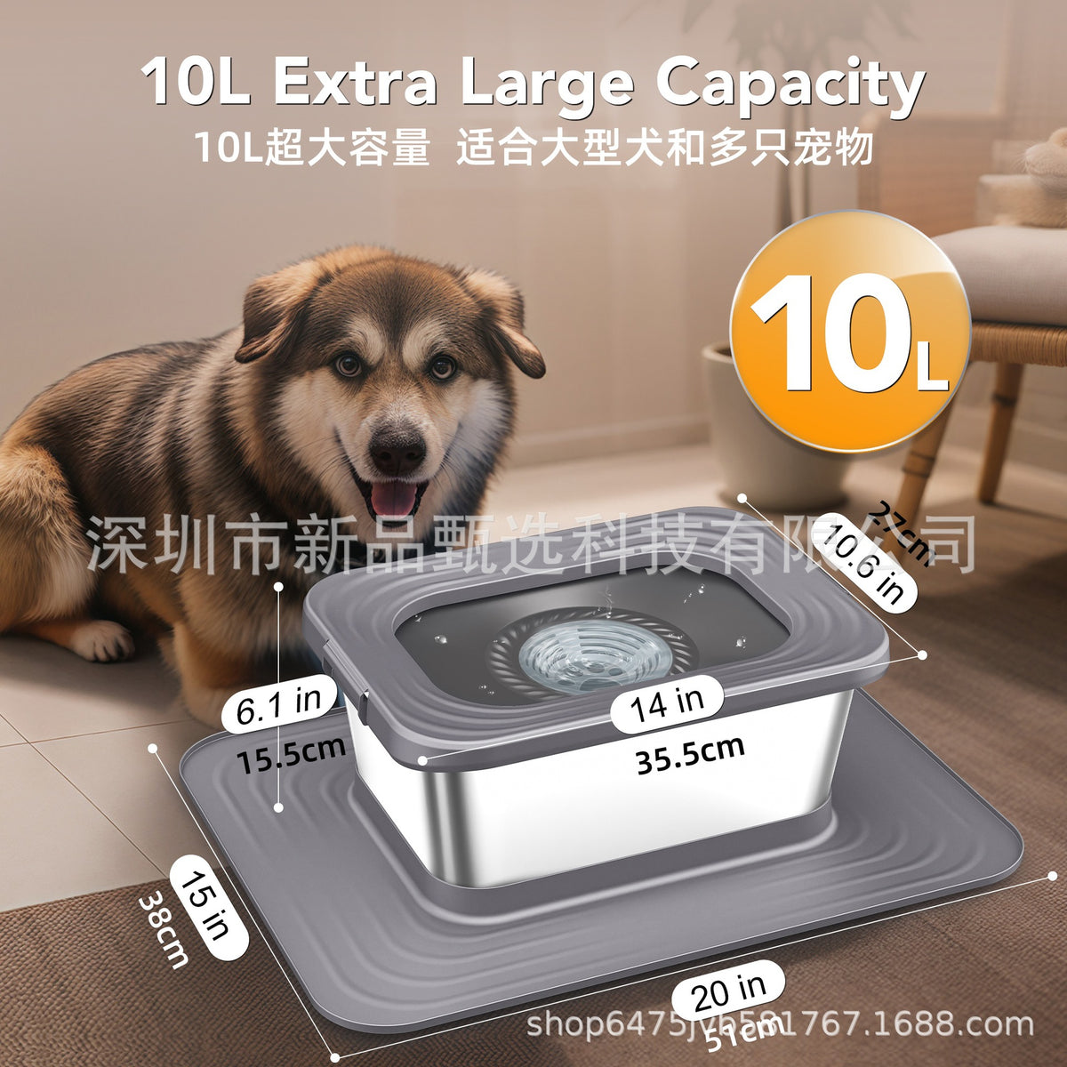 Stainless Steel Pet Water Bowl with Activated Carbon Filter