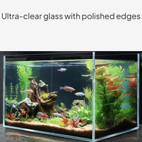 Ultra Clear Glass Desktop Aquarium with Filter and Light