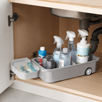 Under Sink Storage Organizer, 2-Tier Sliding Drawer, For Detergent & Cleaning Supplies, Kitchen, With Casters