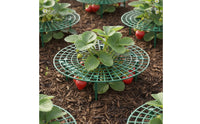 Keeps Berries Clean Strawberry Growing Rack Sturdy Plastic Plant Cradle Support Easy to Assemble Fruit Cradle Reusable for Balcony