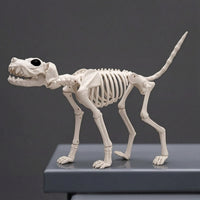 Dog Skeleton Standing Skeleton Dog Realistic for Spooky Attraction