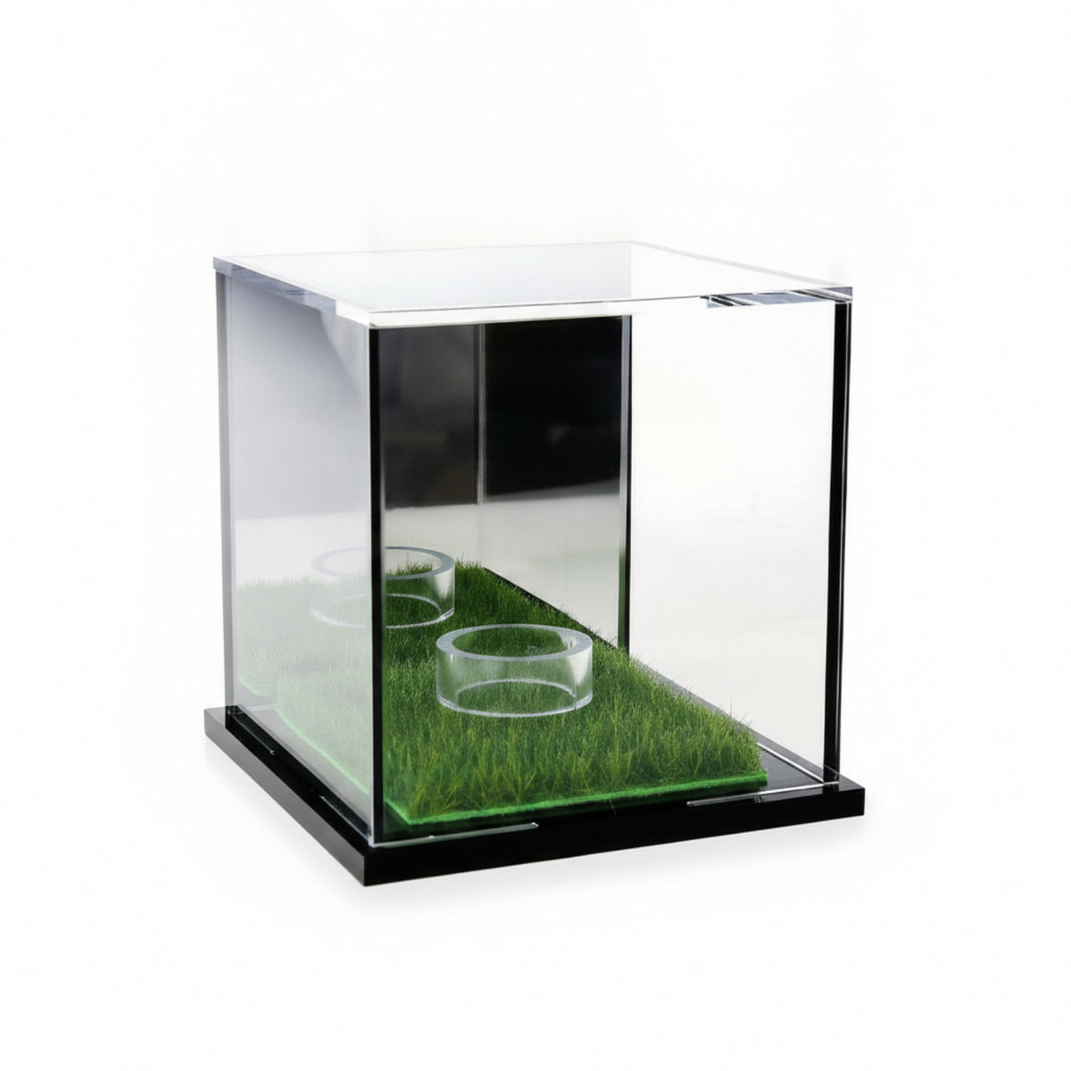 Scratch Resistant Square Acrylic Display Case Grass-Lined Display Case Collectible Storage