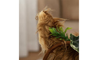 Animal Ears Headband and Tail Set Furry Animal Ears Headband and Tail Set Soft Faux Hair Costume Accessories for Dress Up