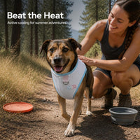 Pet Cooling Vest for Small Dogs - Summer Thin Breathable Sun Protection Shirt for Teddy, Schnauzer