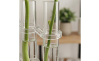 Test Tube Vase Modern Minimalist Design Glass Tube Flower Holder Elegant Desktop Water-Cultivated Planter for Gardeners