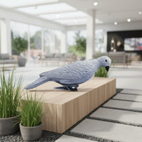 Highly Detailed Realistic Dove Decoy Lightweight Pigeon Decoy Weather Resistant for Hunters, Gardeners, Patio, Target Practice