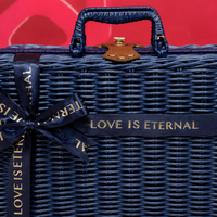 Carry-On Suitcase, M Size, Lightweight, 26x17x11cm, Hand-Woven Synthetic Material, Handheld, Travel Accessory Storage